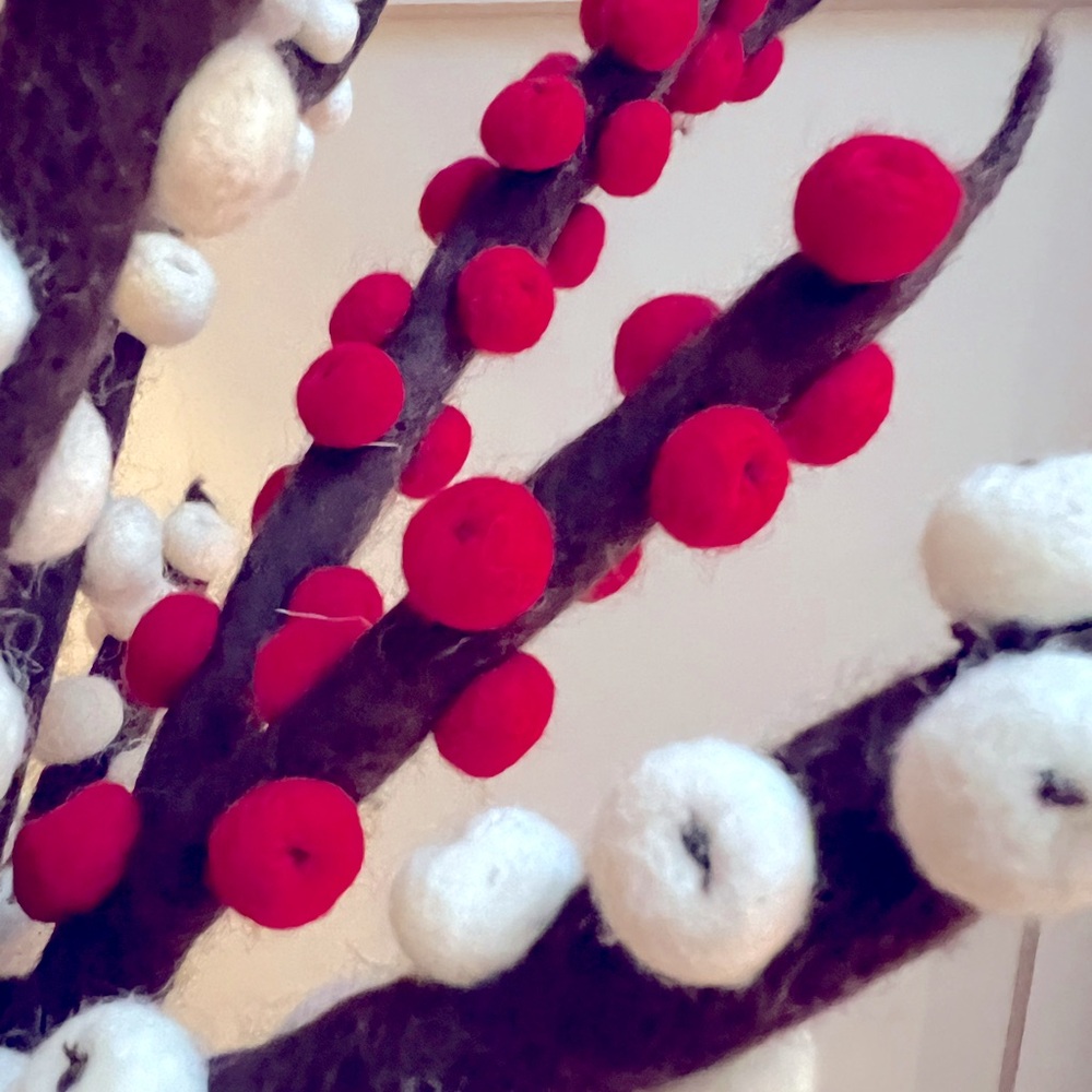 Trader Joe’s NWT Unbelievably Beautiful Red White Brown Wool Felted Ilex Berries - Picture 7 of 7